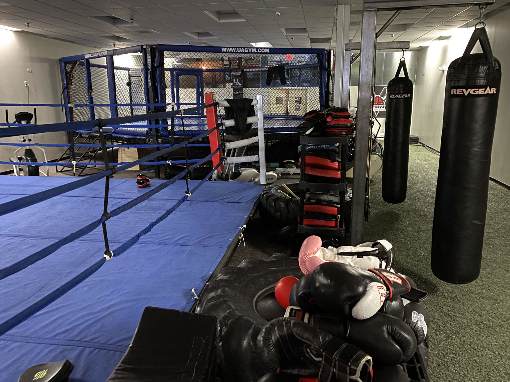 MMA kickboxing 3
